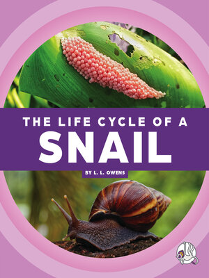 cover image of The Life Cycle of a Snail